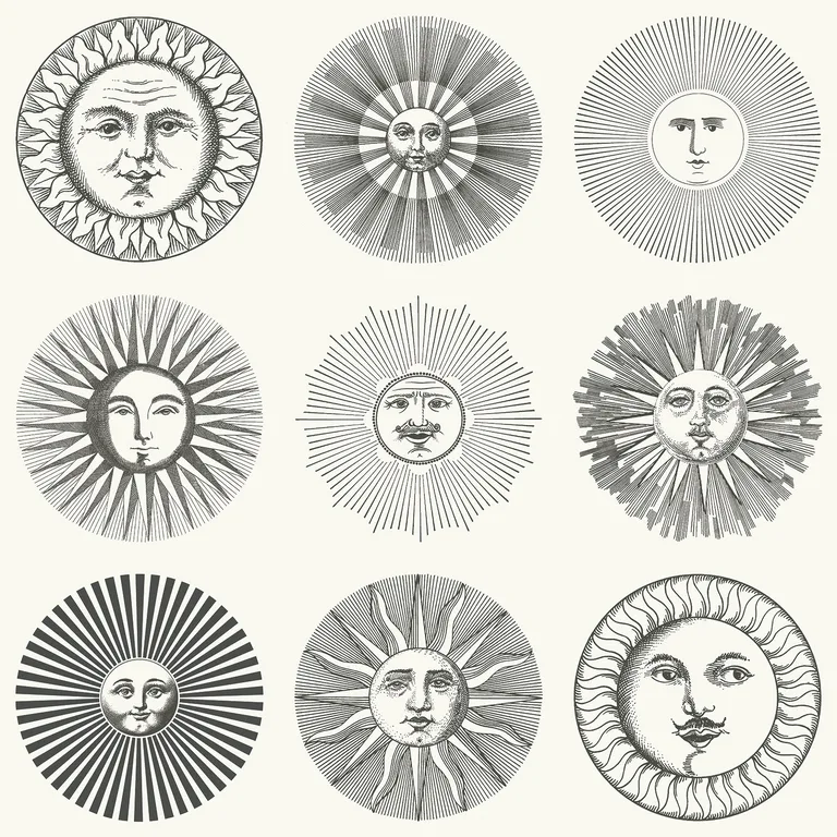 Cole & Son Soli in Black & White (123/1001.CS.0)