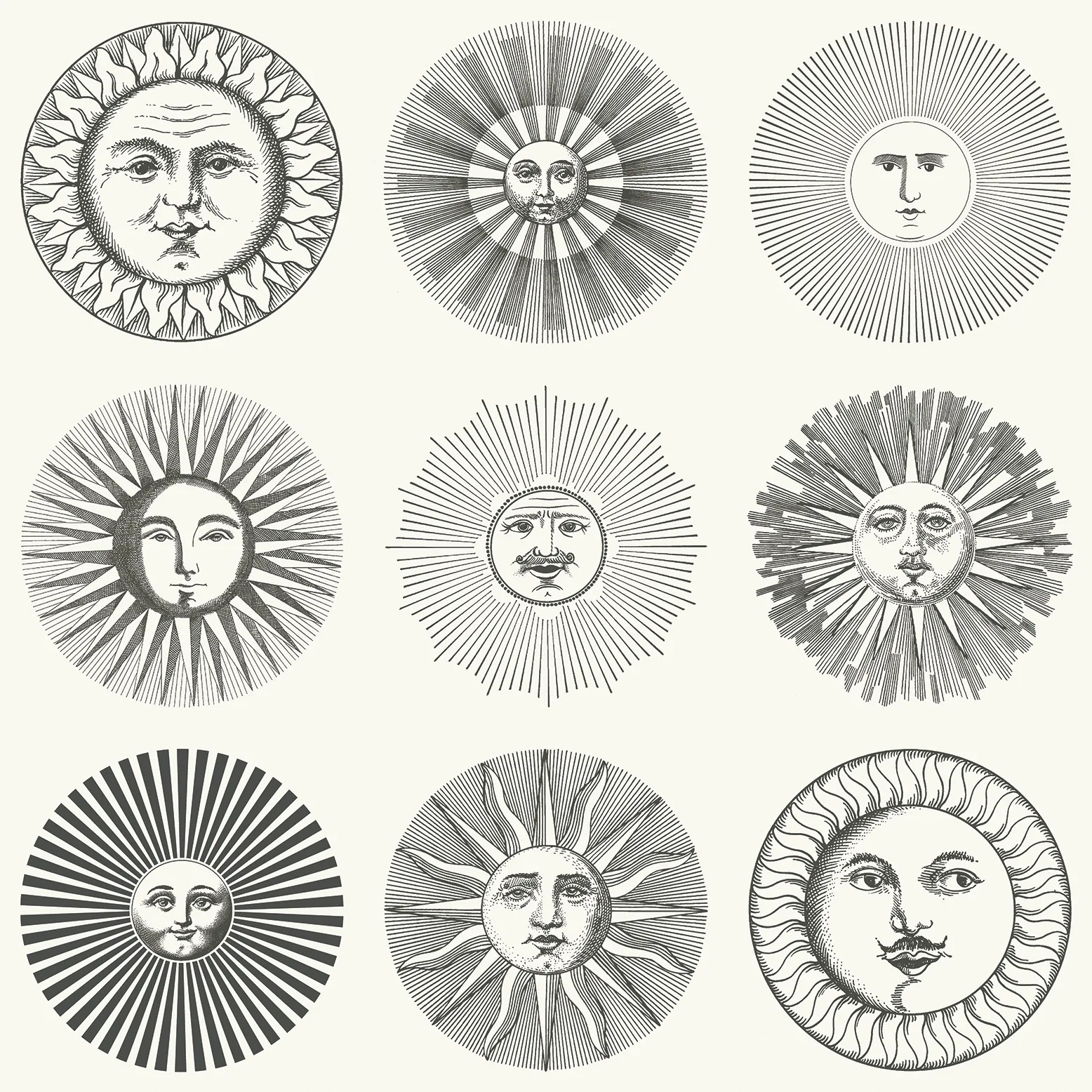 Cole & Son Soli in Black & White (123/1001.CS.0)