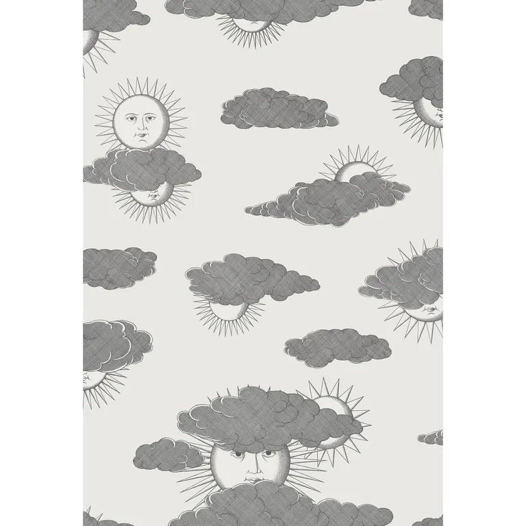 Cole & Son Soli E Nuvole in Black White (123/2007.CS.0)
