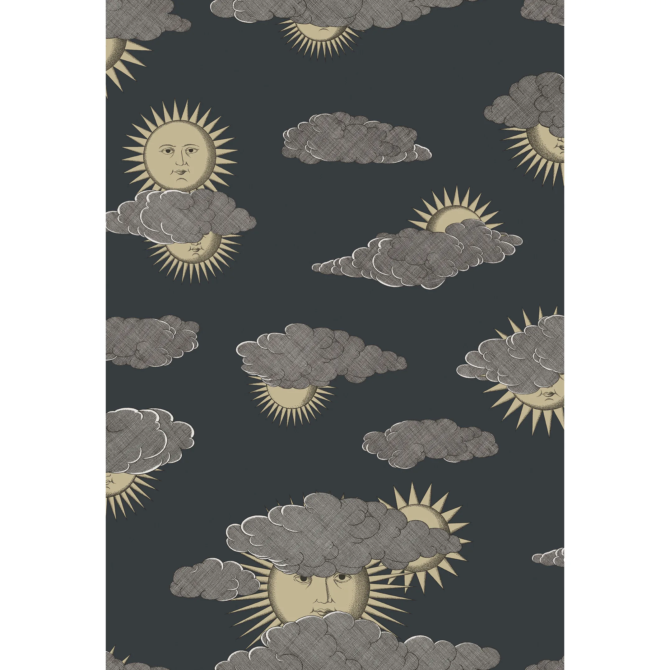 Cole & Son Soli E Nuvole in Gold Silver (123/2008.CS.0)