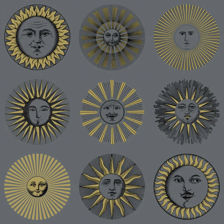 Cole & Son Soli in Midnight & Soft Gold (123/1004.CS.0)