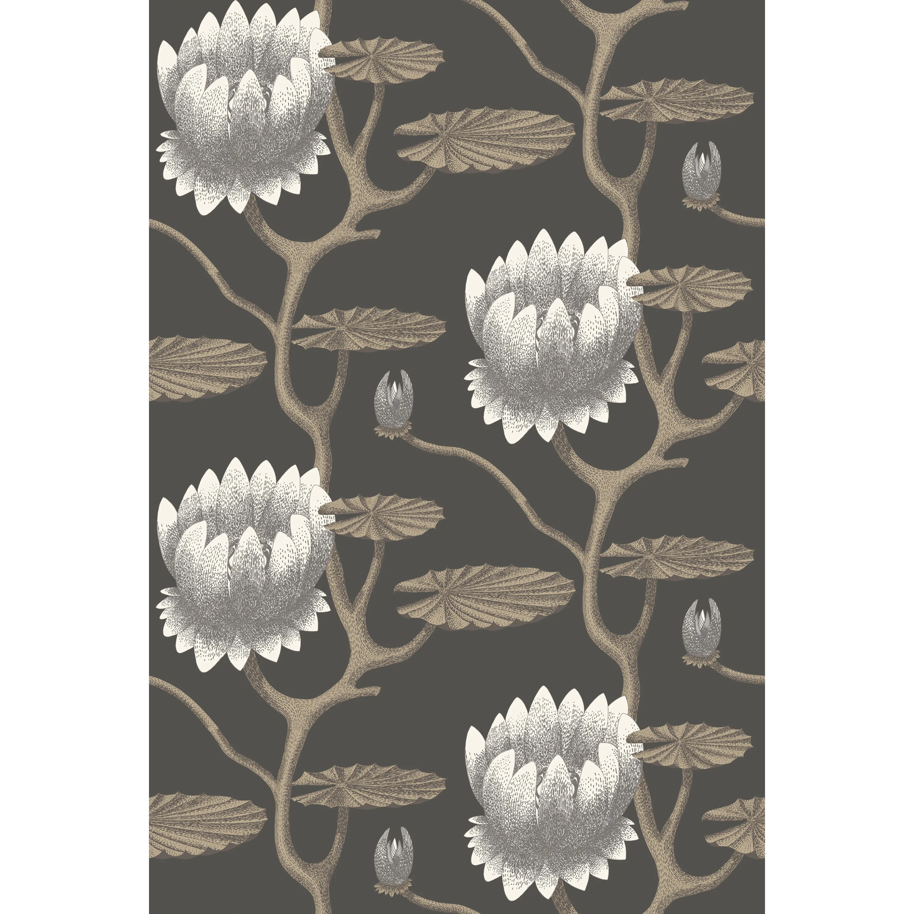 Cole & Son Summer Lily in Blk/Wht/Gold (95/4026.CS.0)