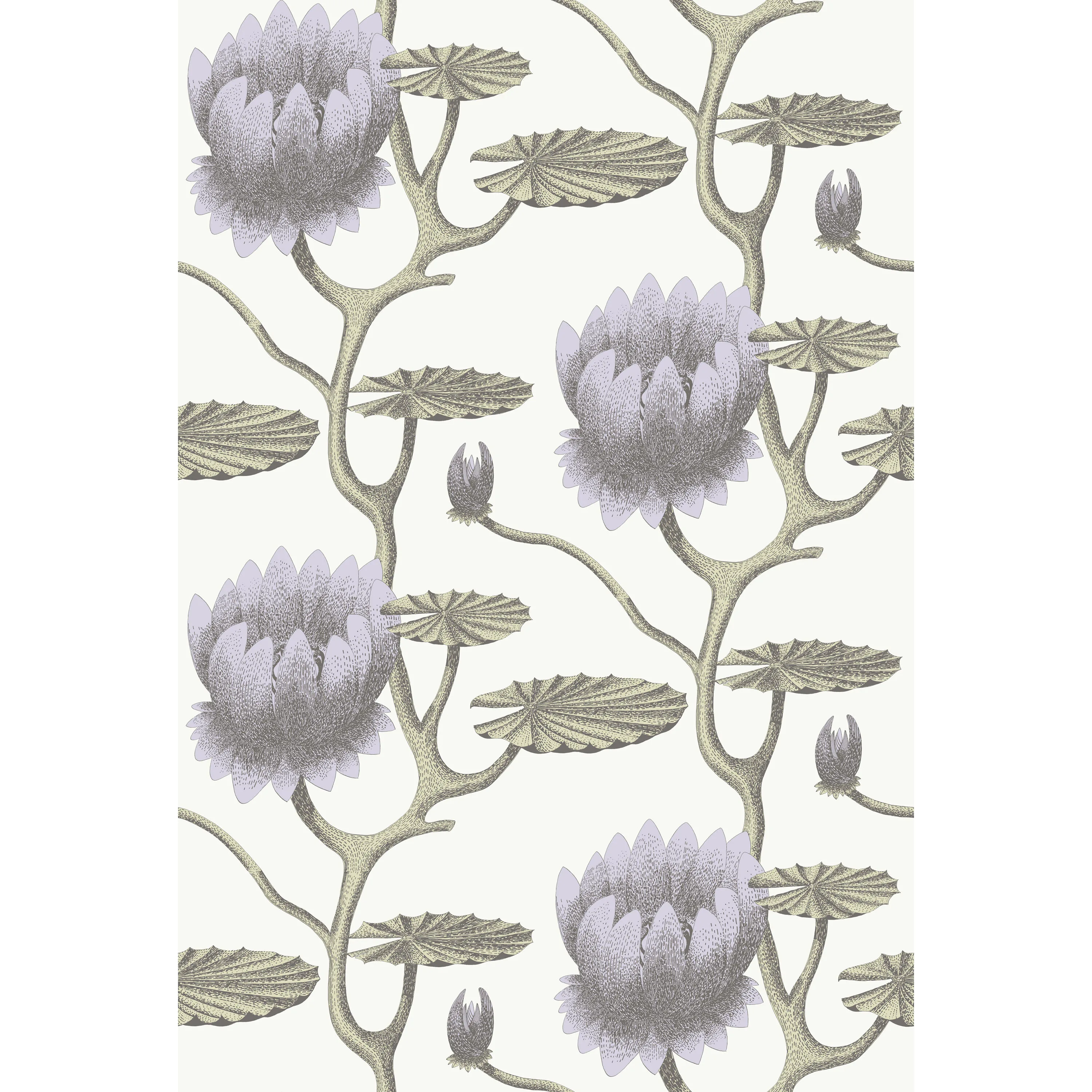 Cole & Son Summer Lily in Lilac/Grn/Wt (95/4023.CS.0)