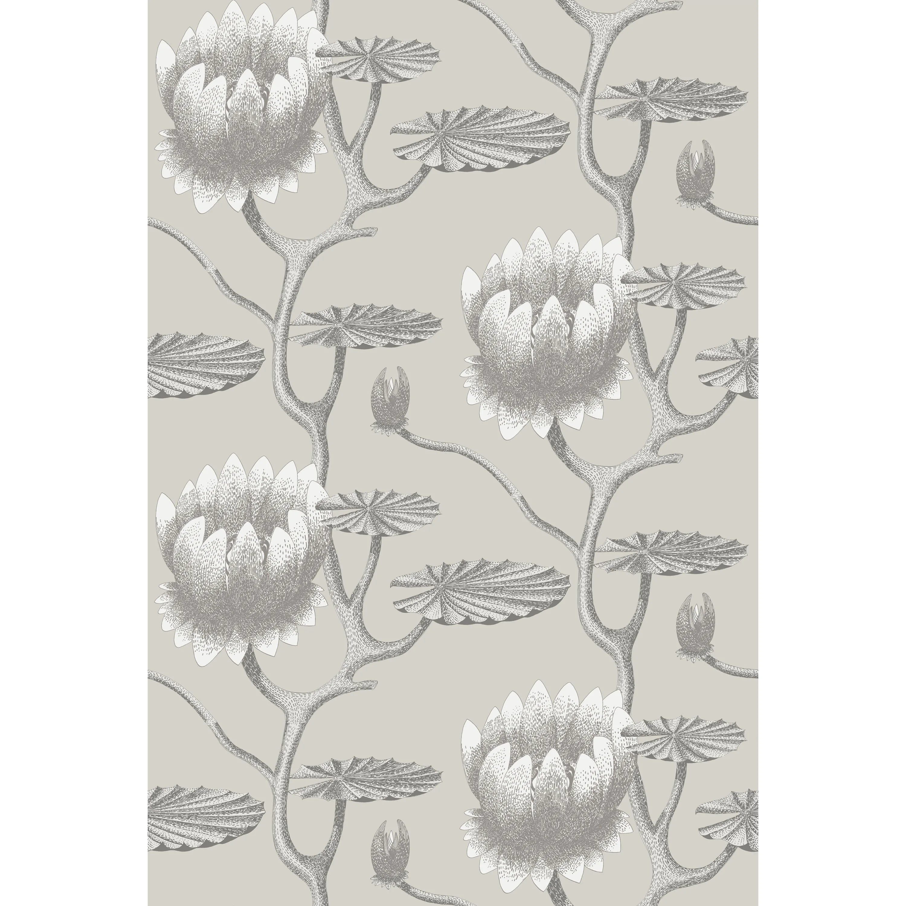 Cole & Son Summer Lily in Taupe/White (95/4025.CS.0)