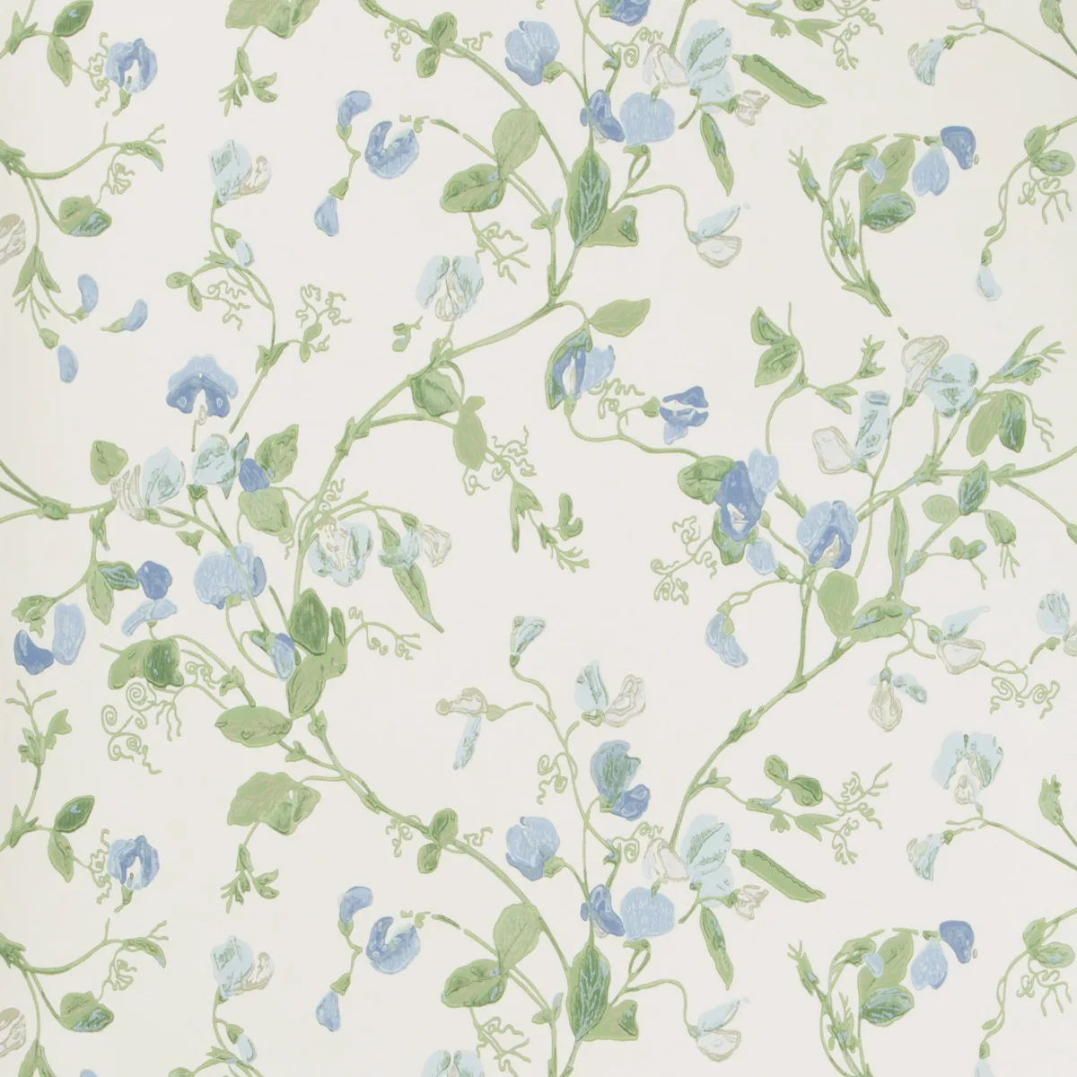 Cole & Son Sweet Pea in Blue (100/6031.CS.0)