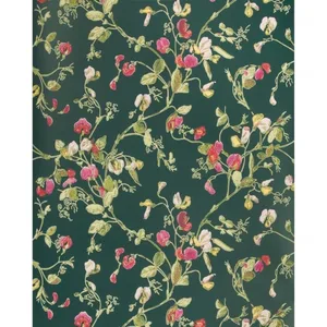 Cole & Son Sweet Pea in Cerise/Magen/Vrdn (115/11033.CS.0)