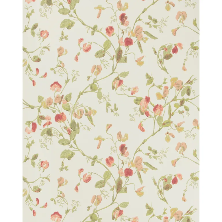 Cole & Son Sweet Pea in Pink (100/6028.CS.0)