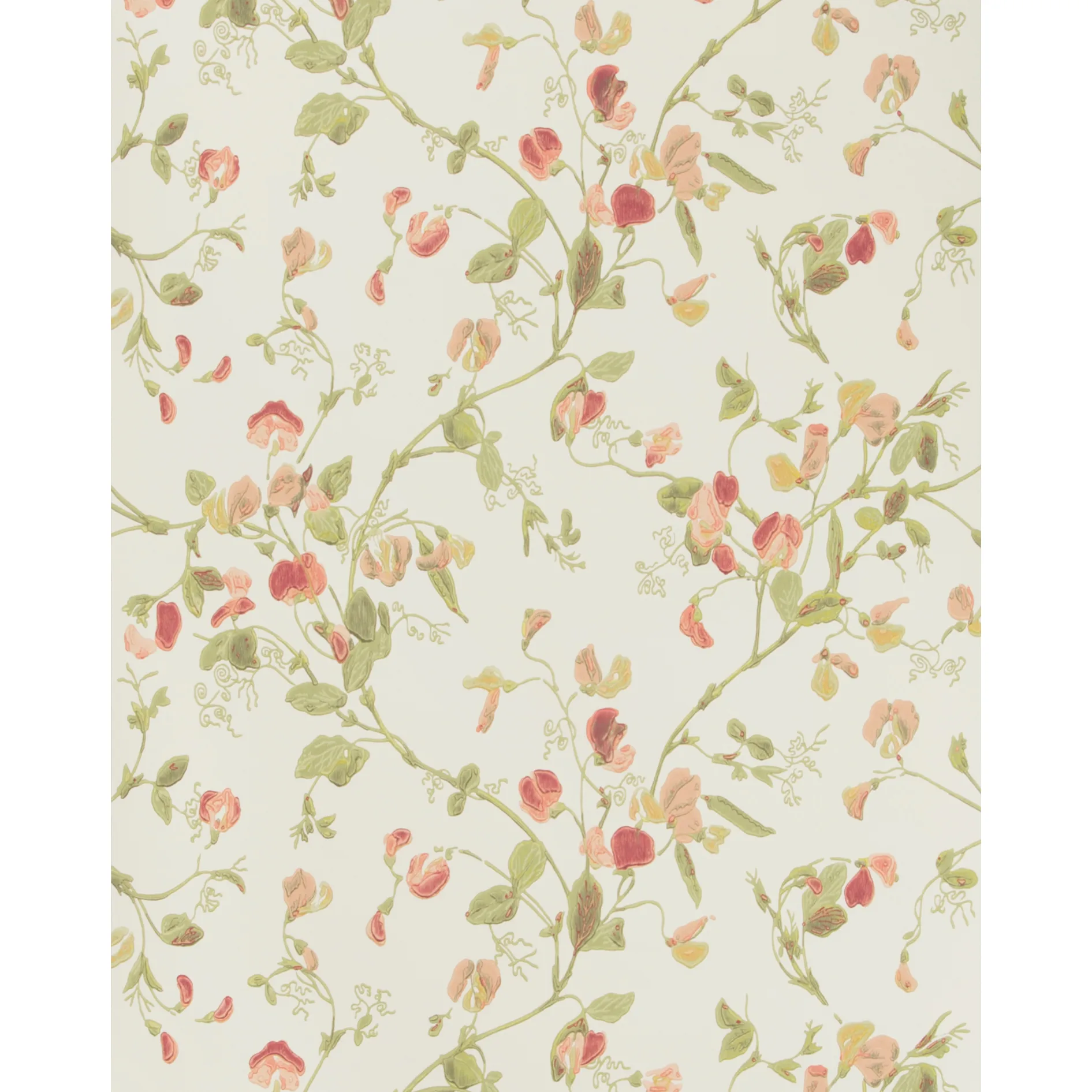 Cole & Son Sweet Pea in Pink (100/6028.CS.0)