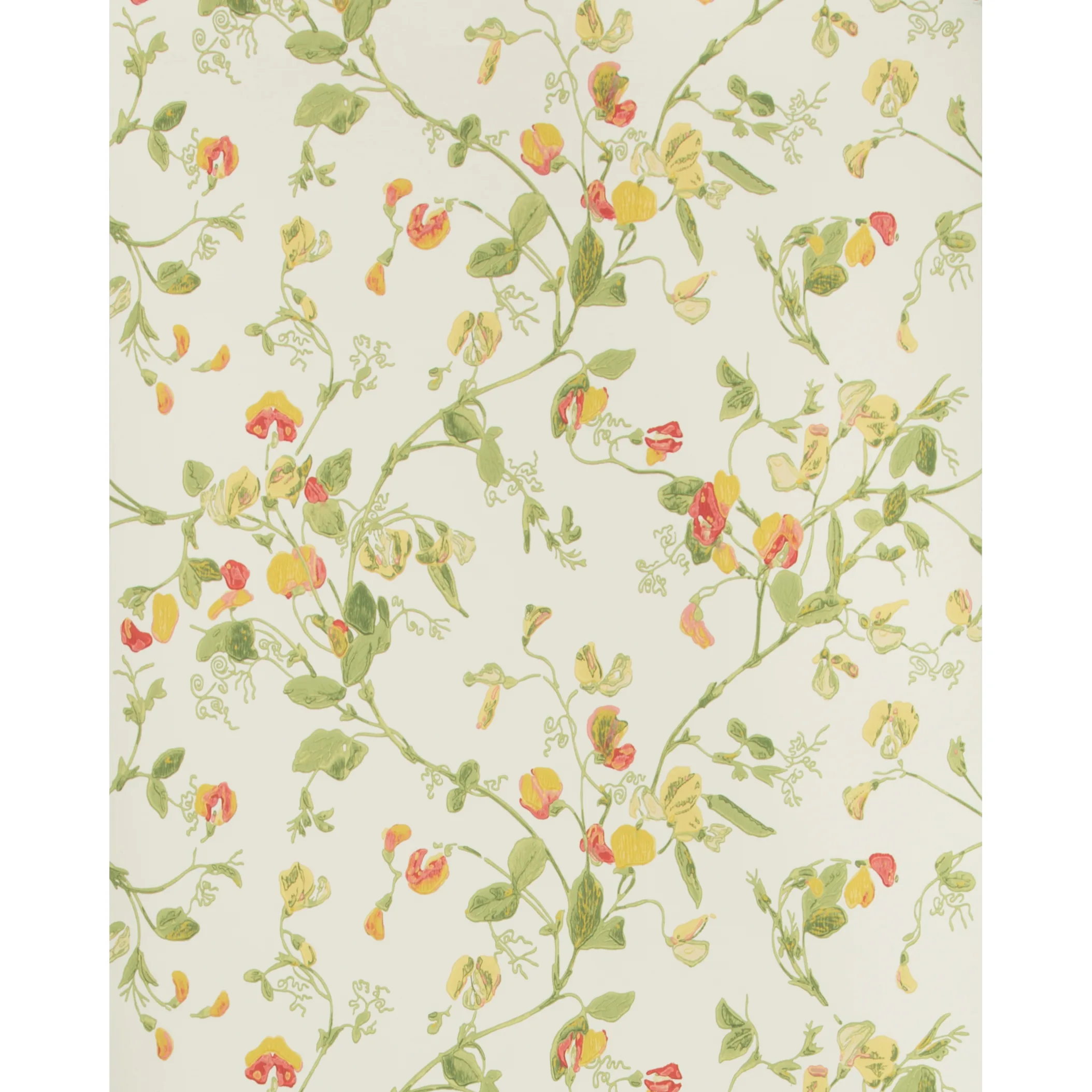 Cole & Son Sweet Pea in Pink & Yellow (100/6027.CS.0)