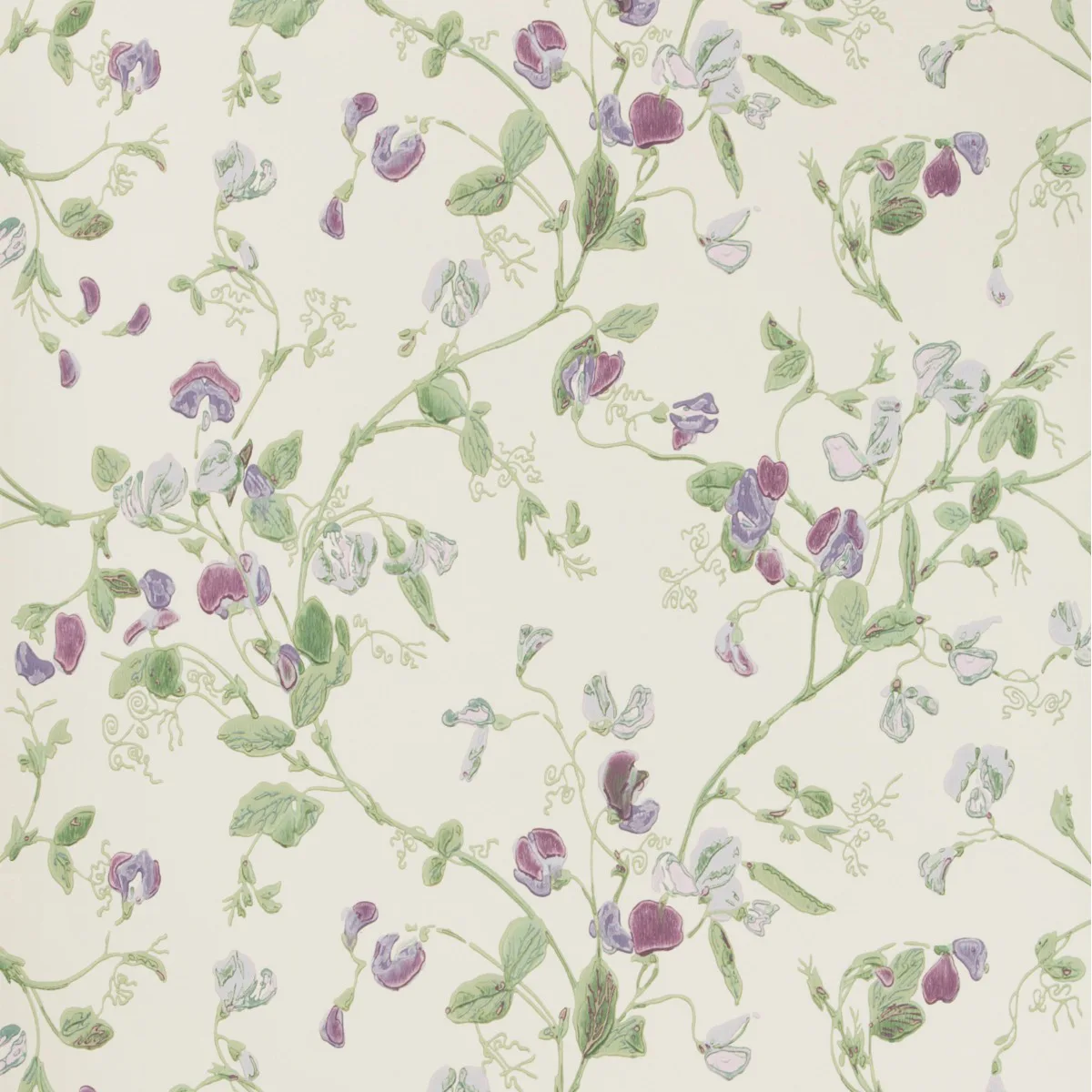 Cole & Son Sweet Pea in Violet (100/6030.CS.0)