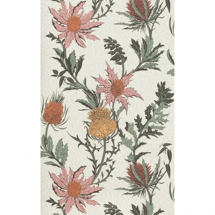 Cole & Son Thistle in A Pink/Orange/Parch (115/14043.CS.0)