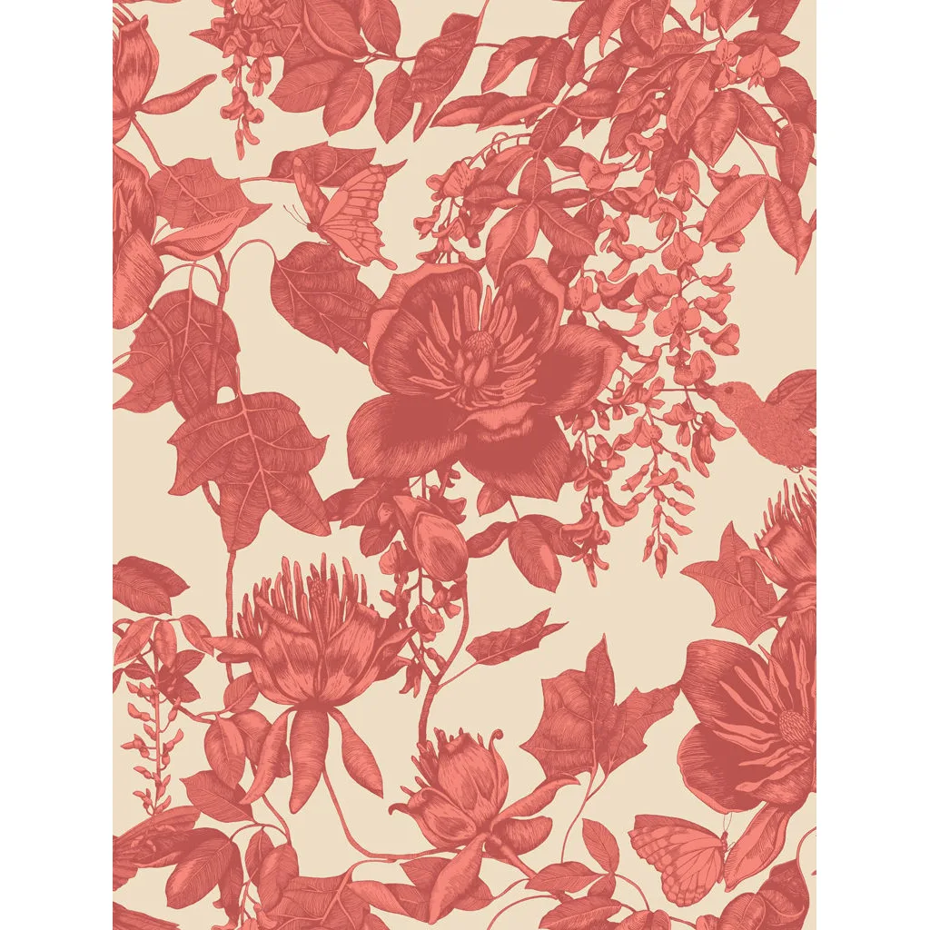 Cole & Son Tivoli in Coral (99/7033.CS.0)