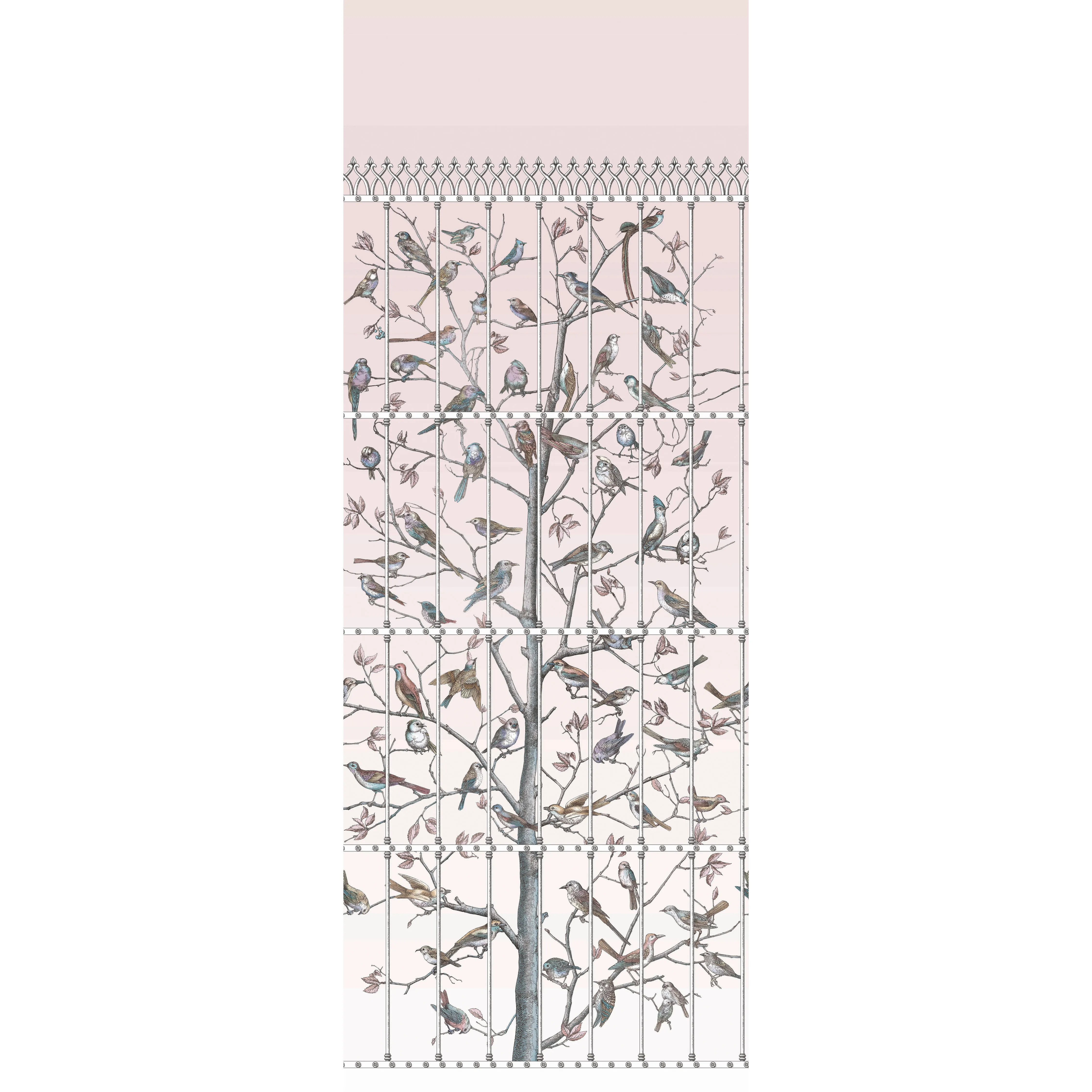 Cole & Son Uccelli in Ballet Slipper (114/11022.CS.0)
