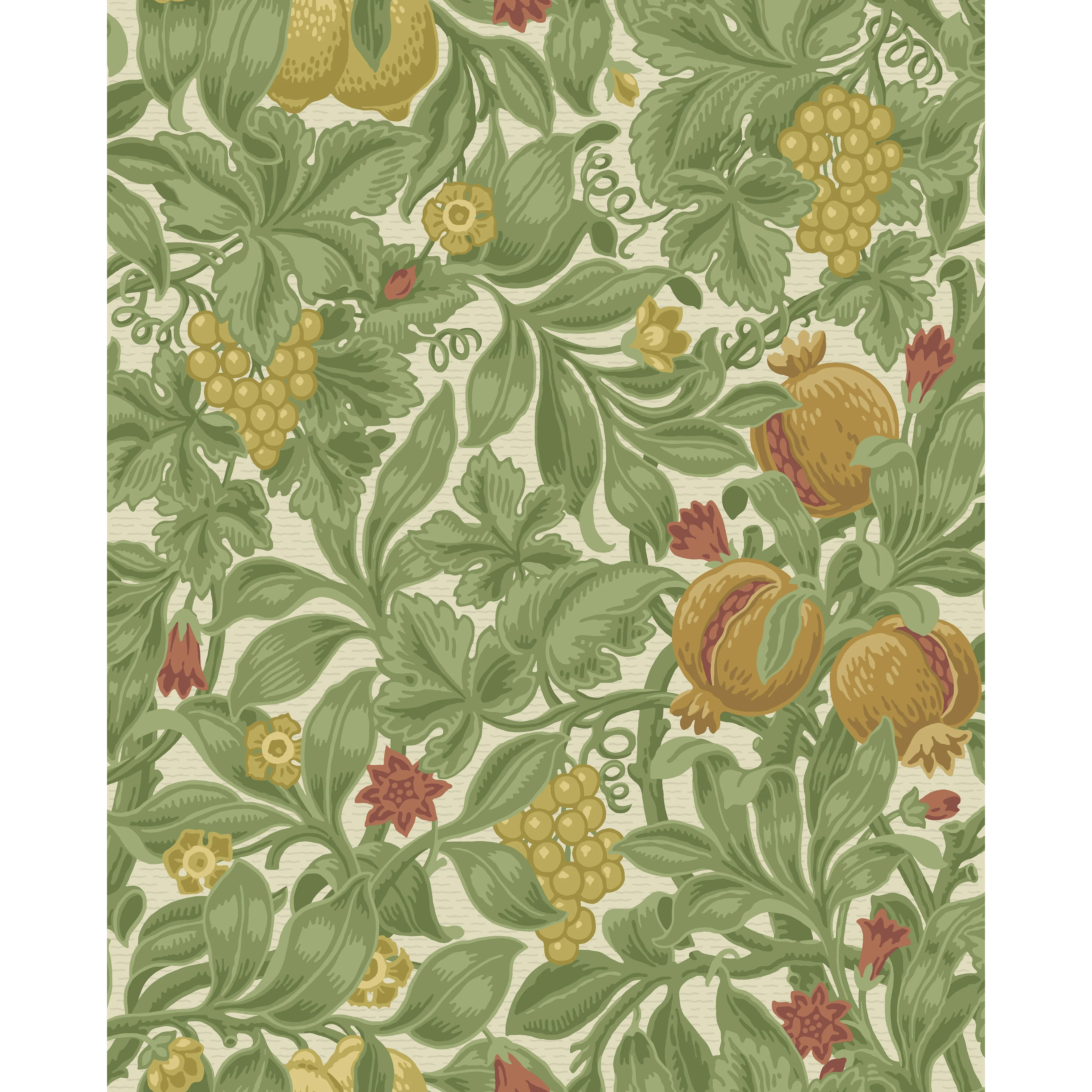Cole & Son Vines of Pomona in Ochr/Oliv (116/2007.CS.0)