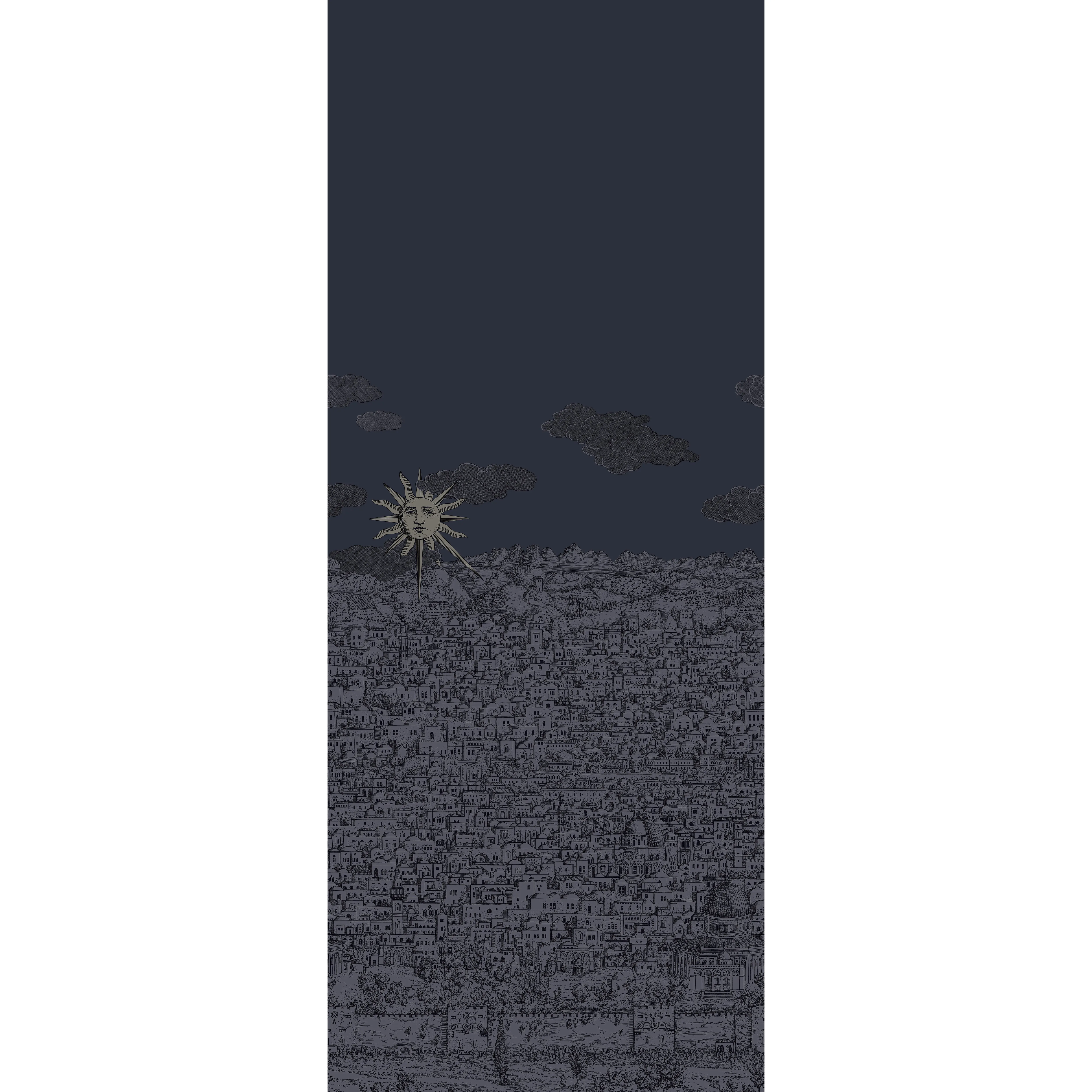 Cole & Son Vista Mediterranea in Midnight (123/3013.CS.0)
