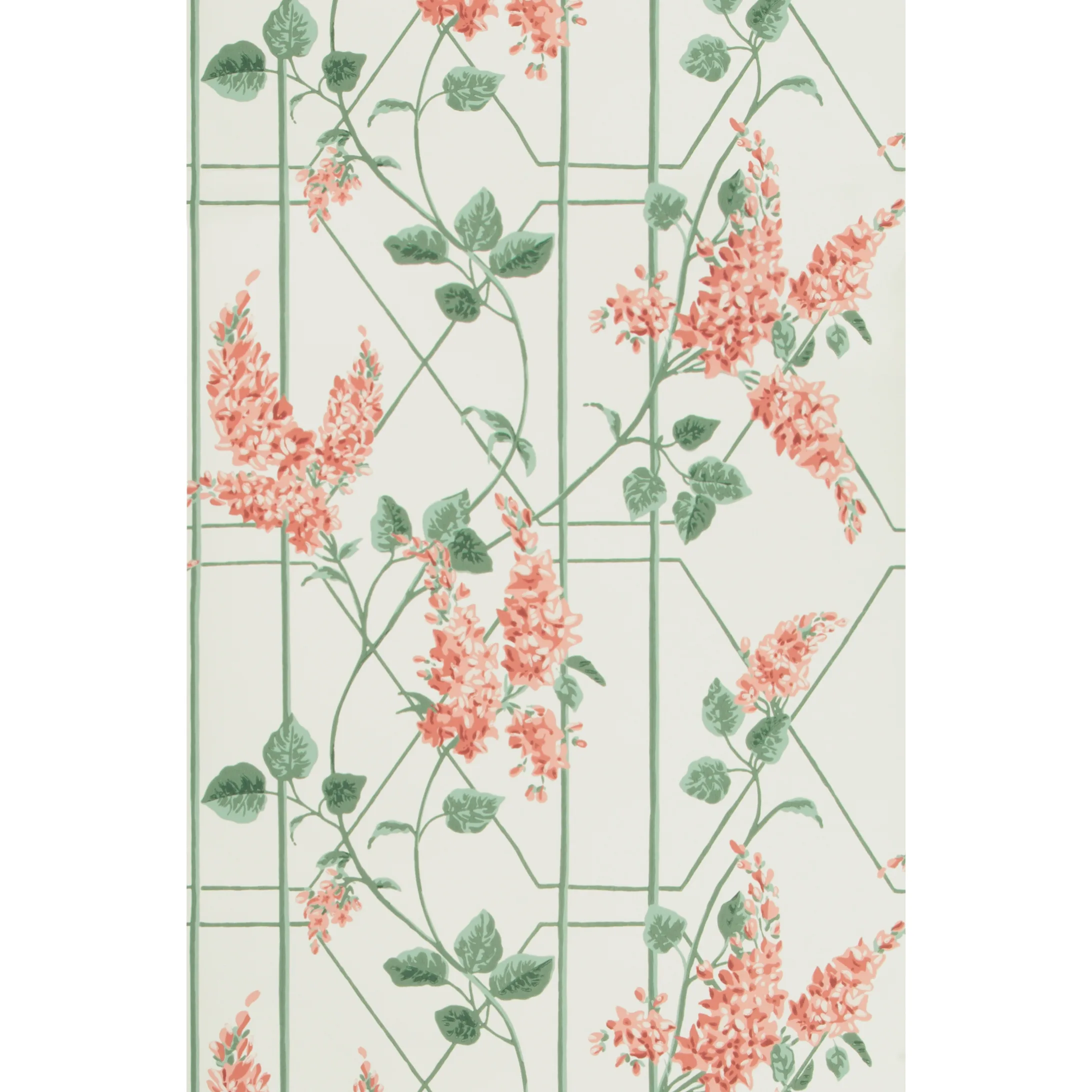 Cole & Son Wisteria in Coral/Sage/Parch (115/5012.CS.0)