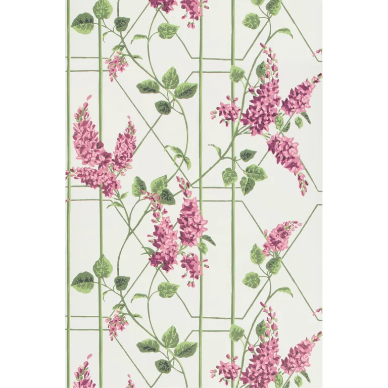 Cole & Son Wisteria in Magenta/Green/Wh (115/5013.CS.0)