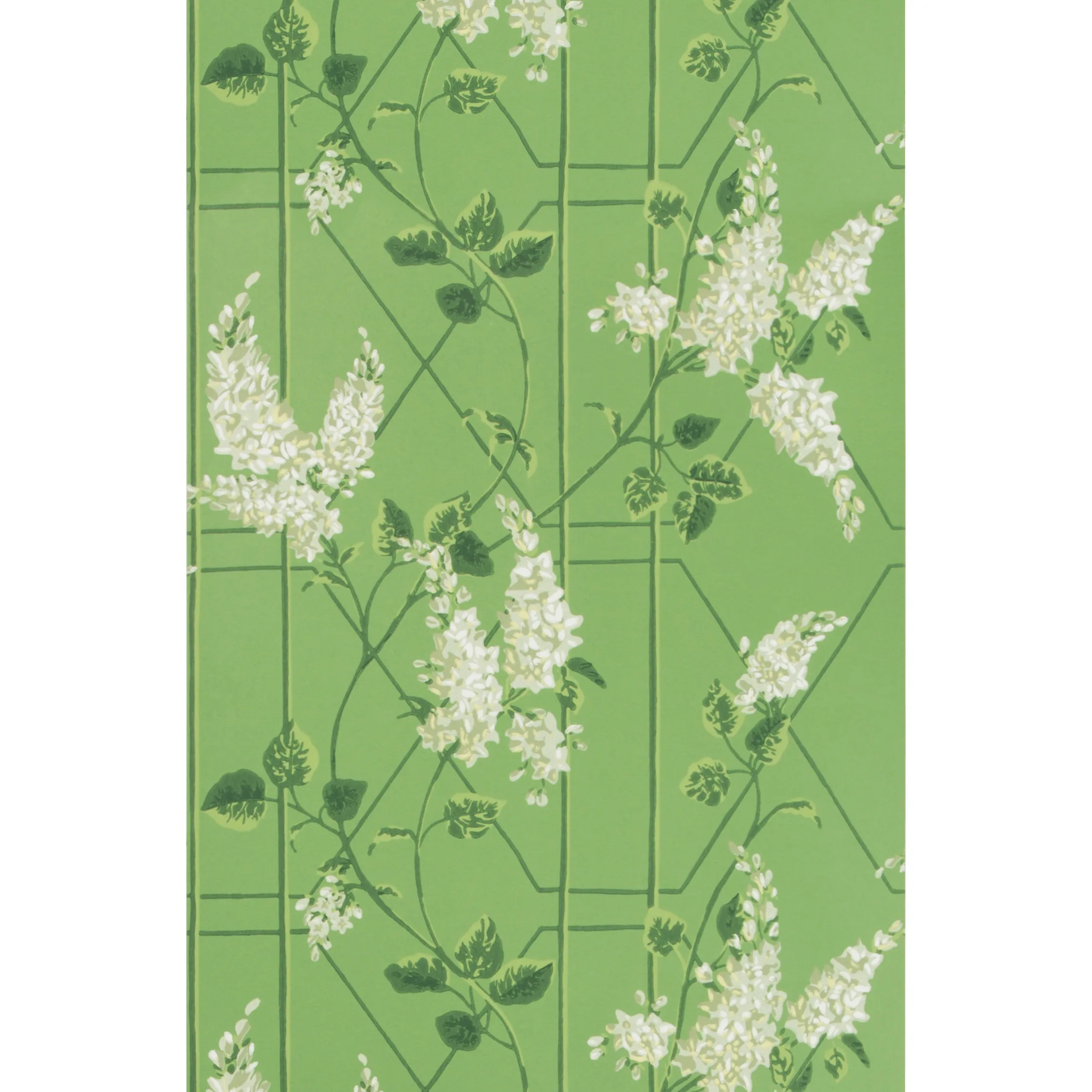 Cole & Son Wisteria in Sage/Leaf Green (115/5016.CS.0)