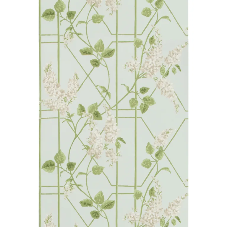 Cole & Son Wisteria in Stone/Olive/D Egg (115/5014.CS.0)