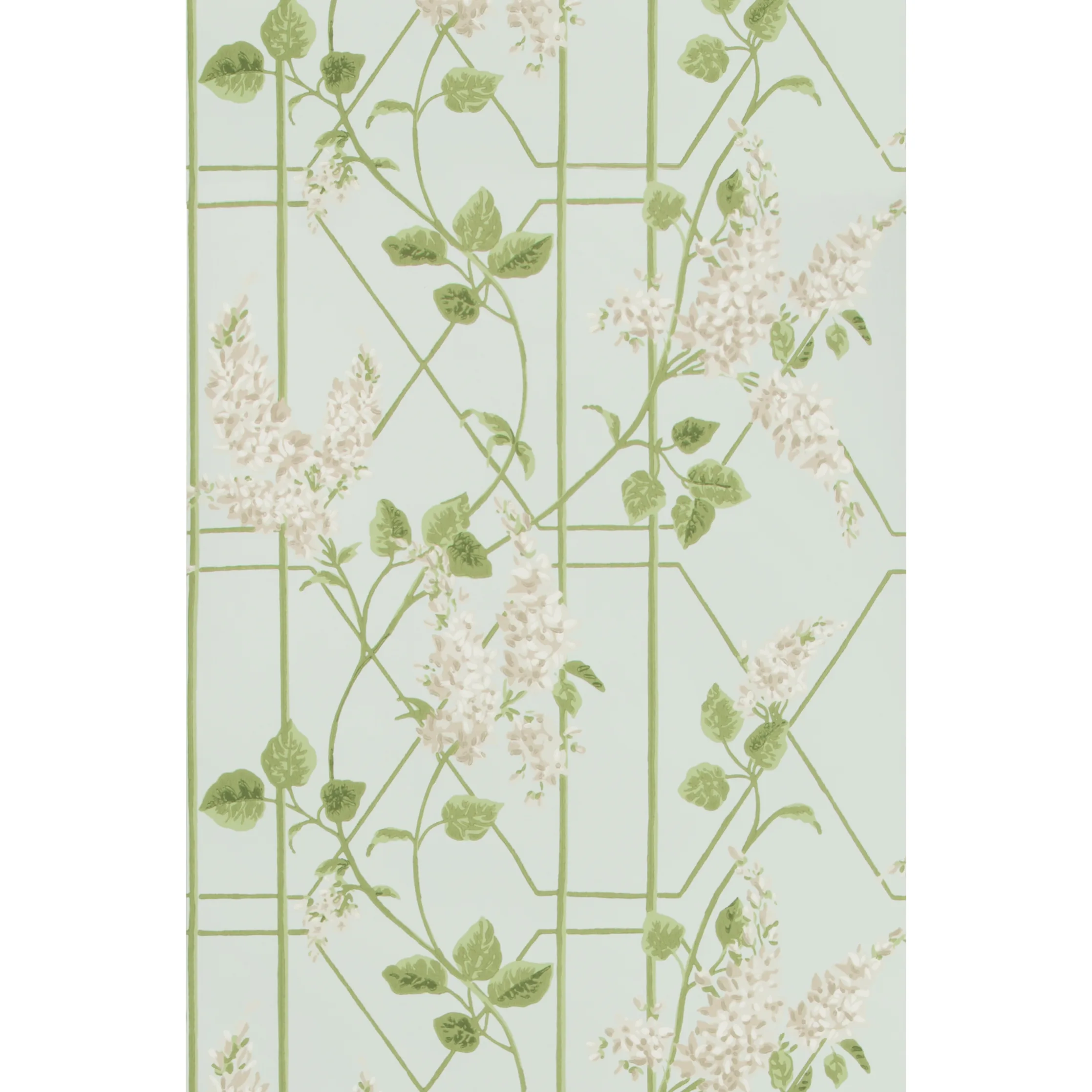 Cole & Son Wisteria in Stone/Olive/D Egg (115/5014.CS.0)