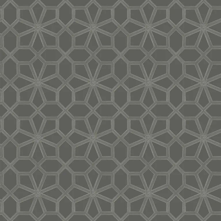 Cole & Son Wolsey Stars in Chalk/Charcl (118/16037.CS.0)