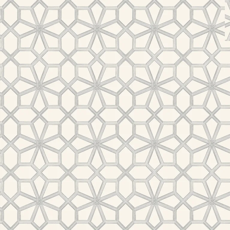 Cole & Son Wolsey Stars in Soot on Snow (118/16036.CS.0)