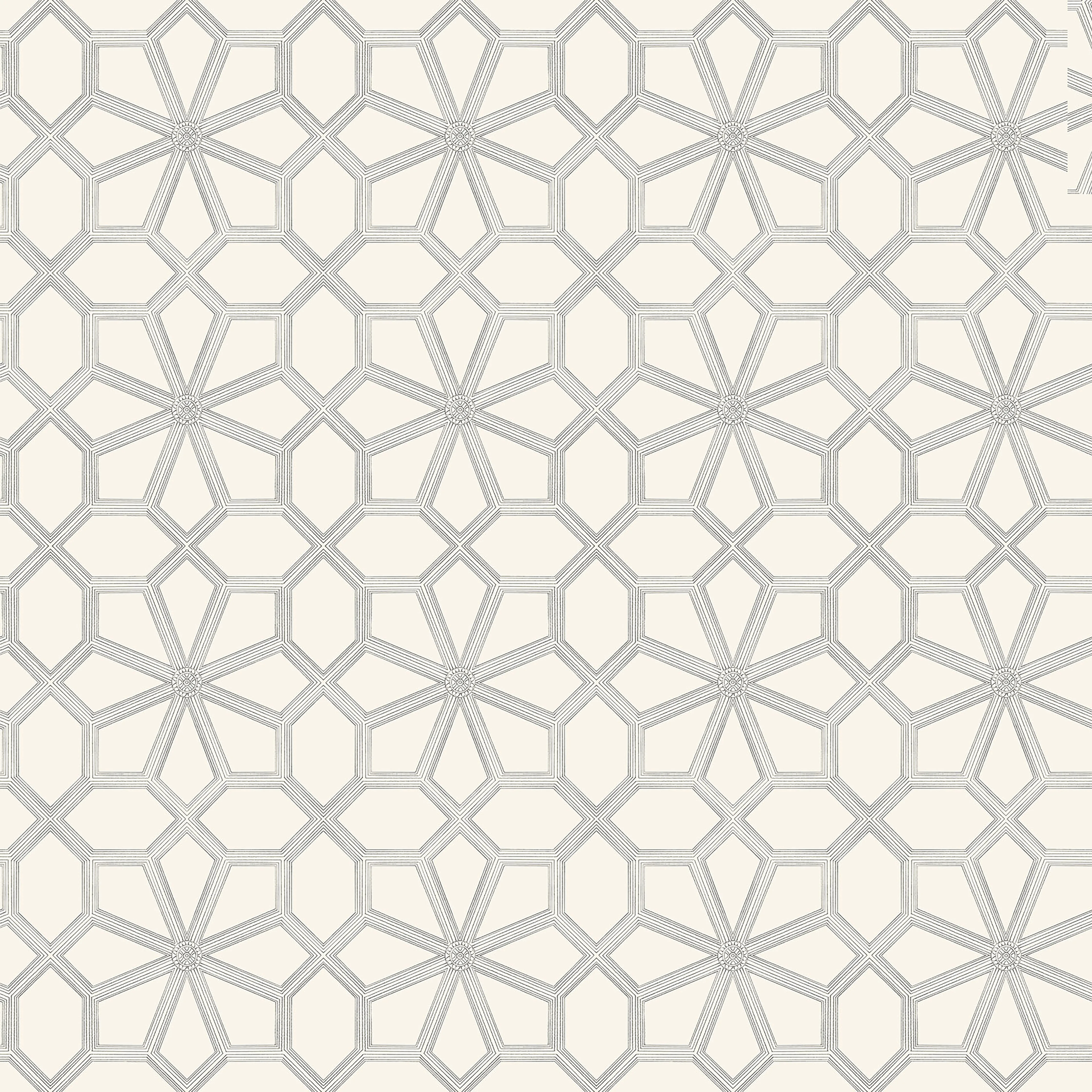 Cole & Son Wolsey Stars in Soot on Snow (118/16036.CS.0)