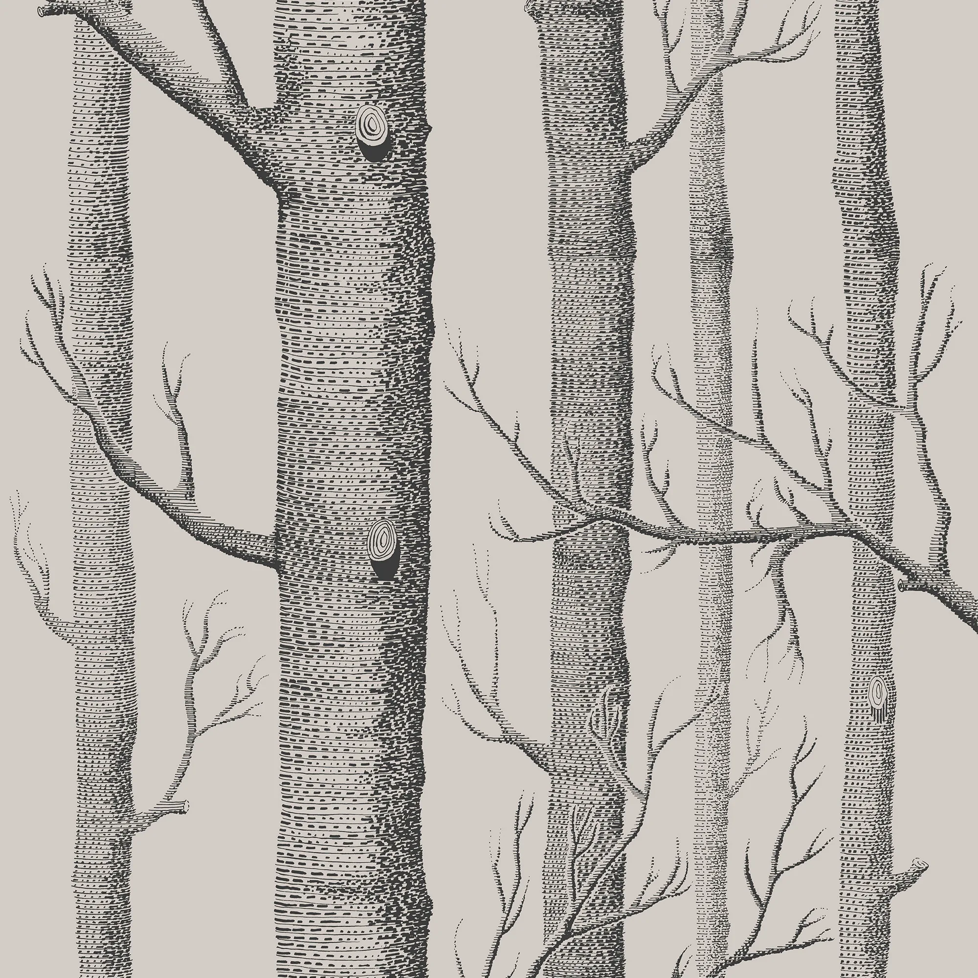 Cole & Son Woods in Linen/Charcoal (112/3009.CS.0)