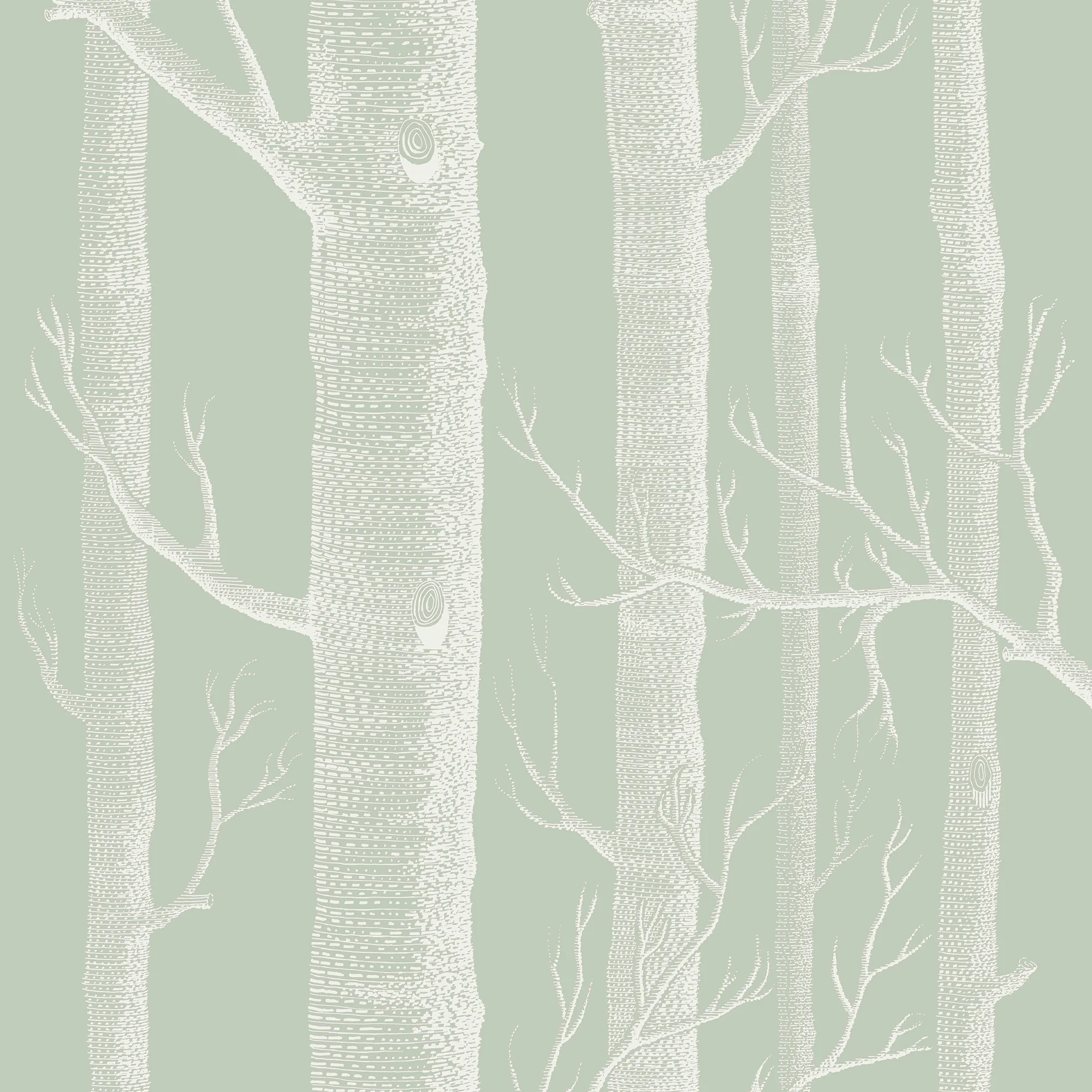 Cole & Son Woods in Old Olive (112/3013.CS.0)