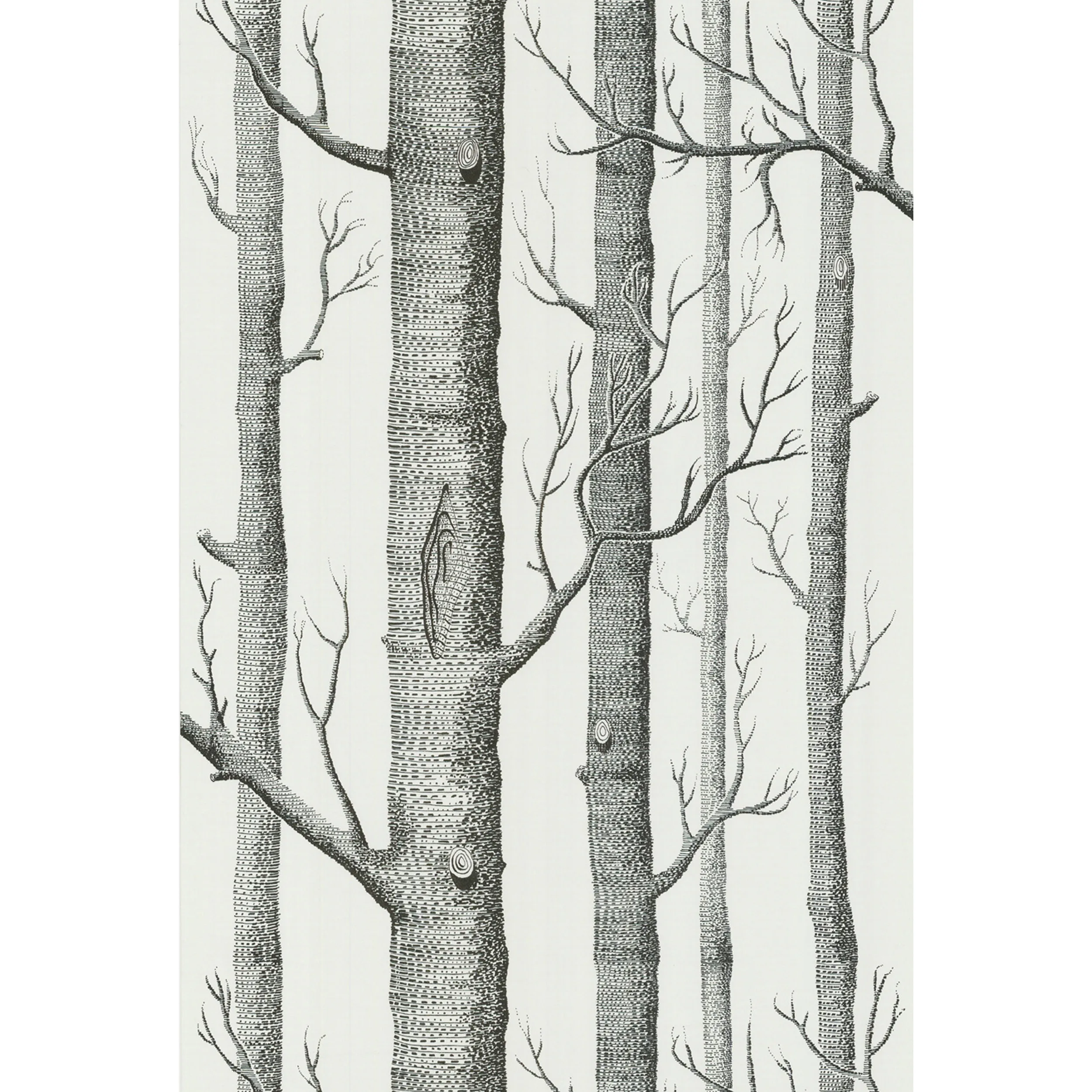 Cole & Son Woods in Onyx/White (69/12147.CS.0)