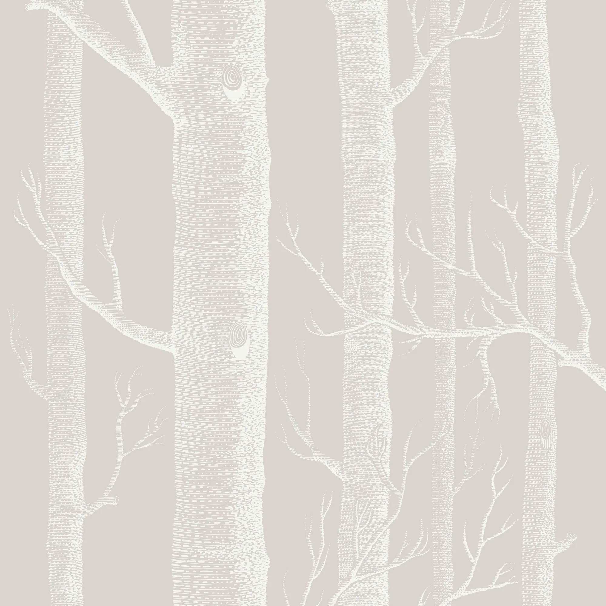 Cole & Son Woods in Stone/White (112/3010.CS.0)