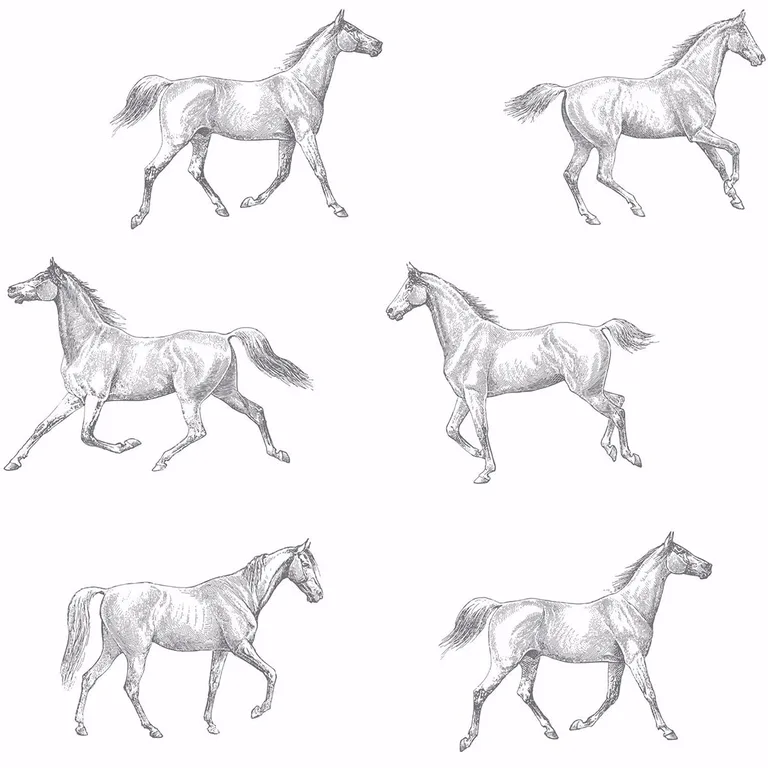 ESTA Home Burnett wallpaper, color Off White, SKU DD128807