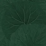 ESTA Home Xylem - Evergreen Wallpaper | Buy Online ESTA Home Xylem wallpaper, color Evergreen, SKU DD138997