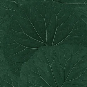 ESTA Home Xylem wallpaper, color Evergreen, SKU DD138997