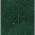 ESTA Home Xylem - Evergreen Wallpaper | Buy Online ESTA Home Xylem wallpaper, color Evergreen, SKU DD138997