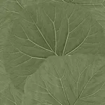 ESTA Home Xylem - Olive Wallpaper | Buy Online ESTA Home Xylem wallpaper, color Olive, SKU DD138995