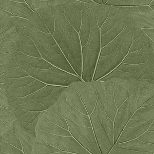ESTA Home Xylem wallpaper, color Olive, SKU DD138995