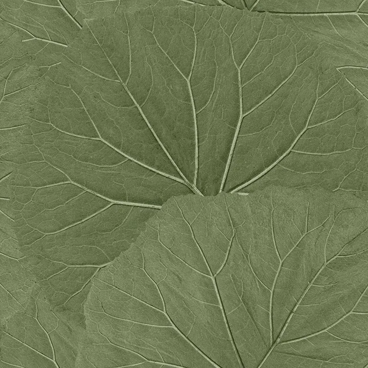 ESTA Home Xylem wallpaper, color Olive, SKU DD138995