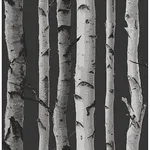 Fine Decor Distinctive - Black Wallpaper | Buy Online Fine Decor Distinctive wallpaper, color Black, SKU 2900-31052