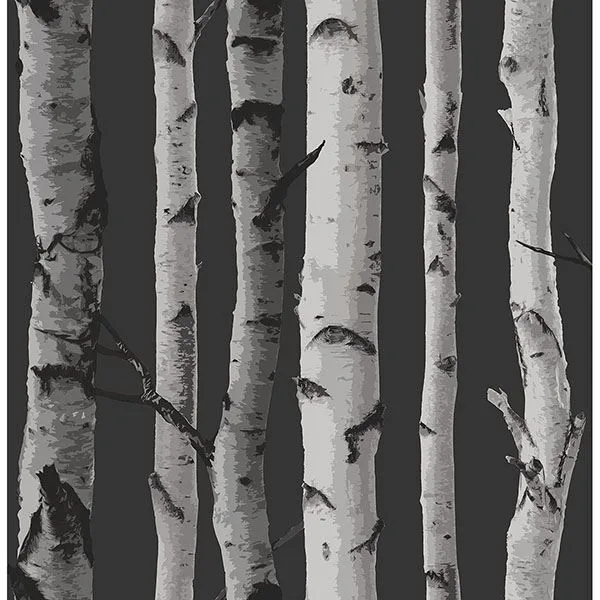 Fine Decor Distinctive wallpaper, color Black, SKU 2900-31052