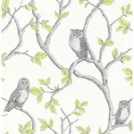 Fine Decor Linden - Green Wallpaper | Buy Online Fine Decor Linden wallpaper, color Green, SKU 2900-40637