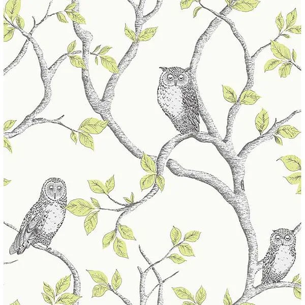 Fine Decor Linden wallpaper, color Green, SKU 2900-40637