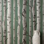 Fine Decor Chester - Dark Green Wallpaper | Buy Online Fine Decor Chester wallpaper, color Dark Green, SKU FD43292