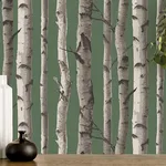 Fine Decor Chester - Dark Green Wallpaper | Buy Online Fine Decor Chester wallpaper, color Dark Green, SKU FD43292