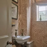 House of Hackney Ferus Wallpaper in Astrantia House of Hackney Ferus wallpaper in Astrantia, animal markings in astrantia