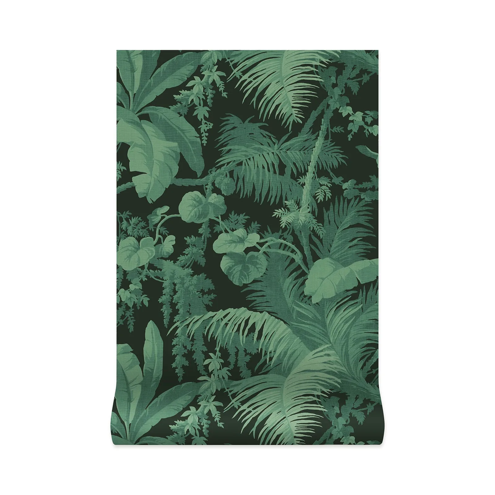 House of Hackney Pampas Wallpaper in Noir House of Hackney Pampas wallpaper in Noir, foliage in noir