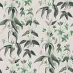 House of Hackney Urtica Wallpaper in Cirrus House of Hackney Urtica wallpaper in Cirrus, foliage in cirrus