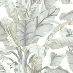 Inspired by Color Banana Leaf wallpaper, color White & Cream, SKU BW3972