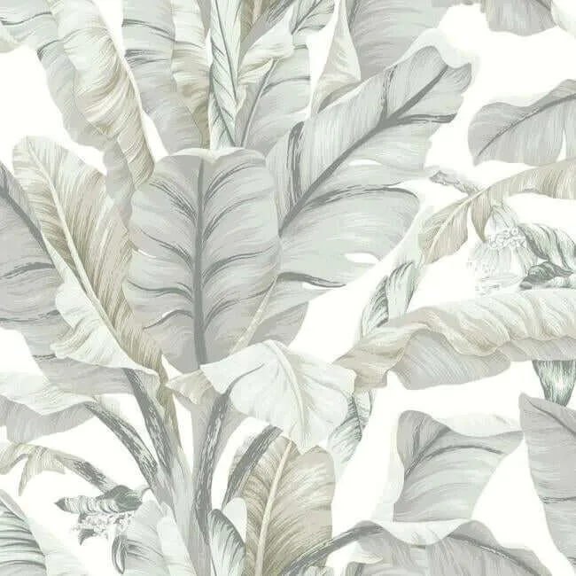 Inspired by Color Banana Leaf wallpaper, color White & Cream, SKU BW3972