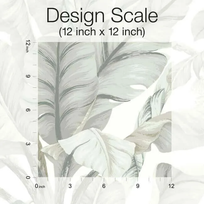 Inspired by Color Banana Leaf wallpaper, color White & Cream, SKU BW3972